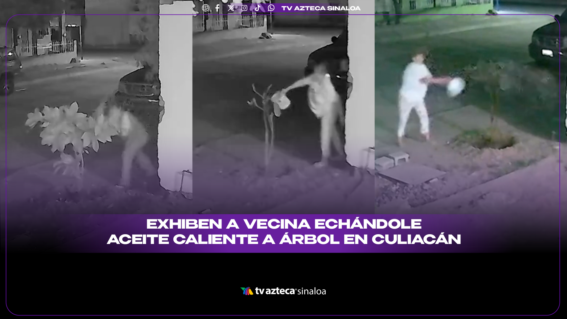 VIDEO| ¡Lo quería secar! Exhiben a vecina arrojando aceite caliente a árbol