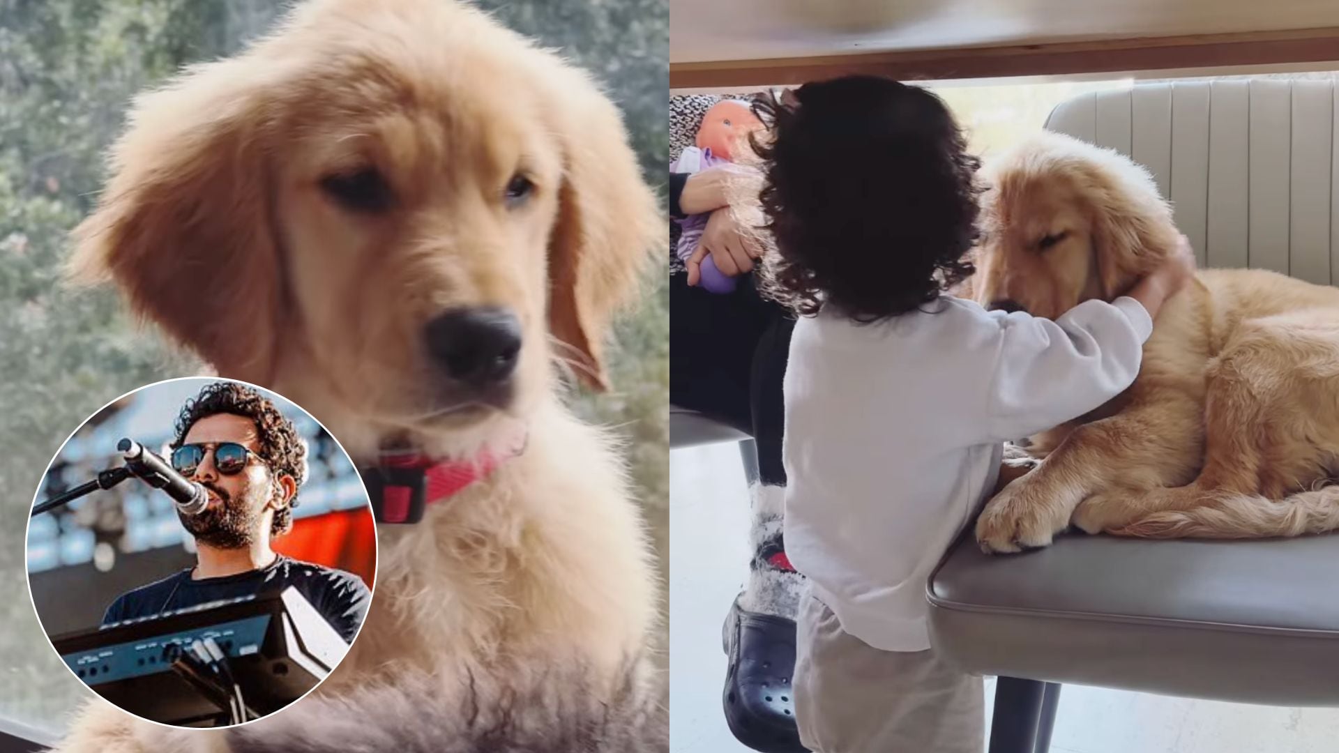 Nhala, perrita de Jonathan Meléndez, también fue víctima del multihomicidio; la amarraron y emplayaron