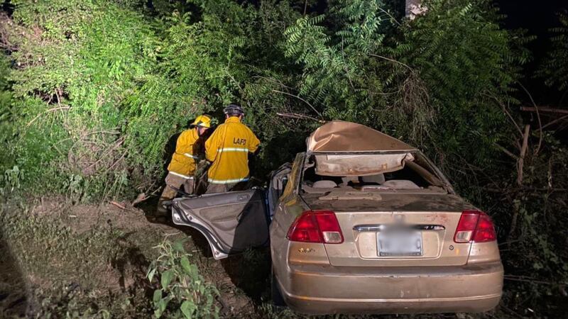 Madre e hijo chocan contra vaca en carretera en El Walamo en Mazatlán