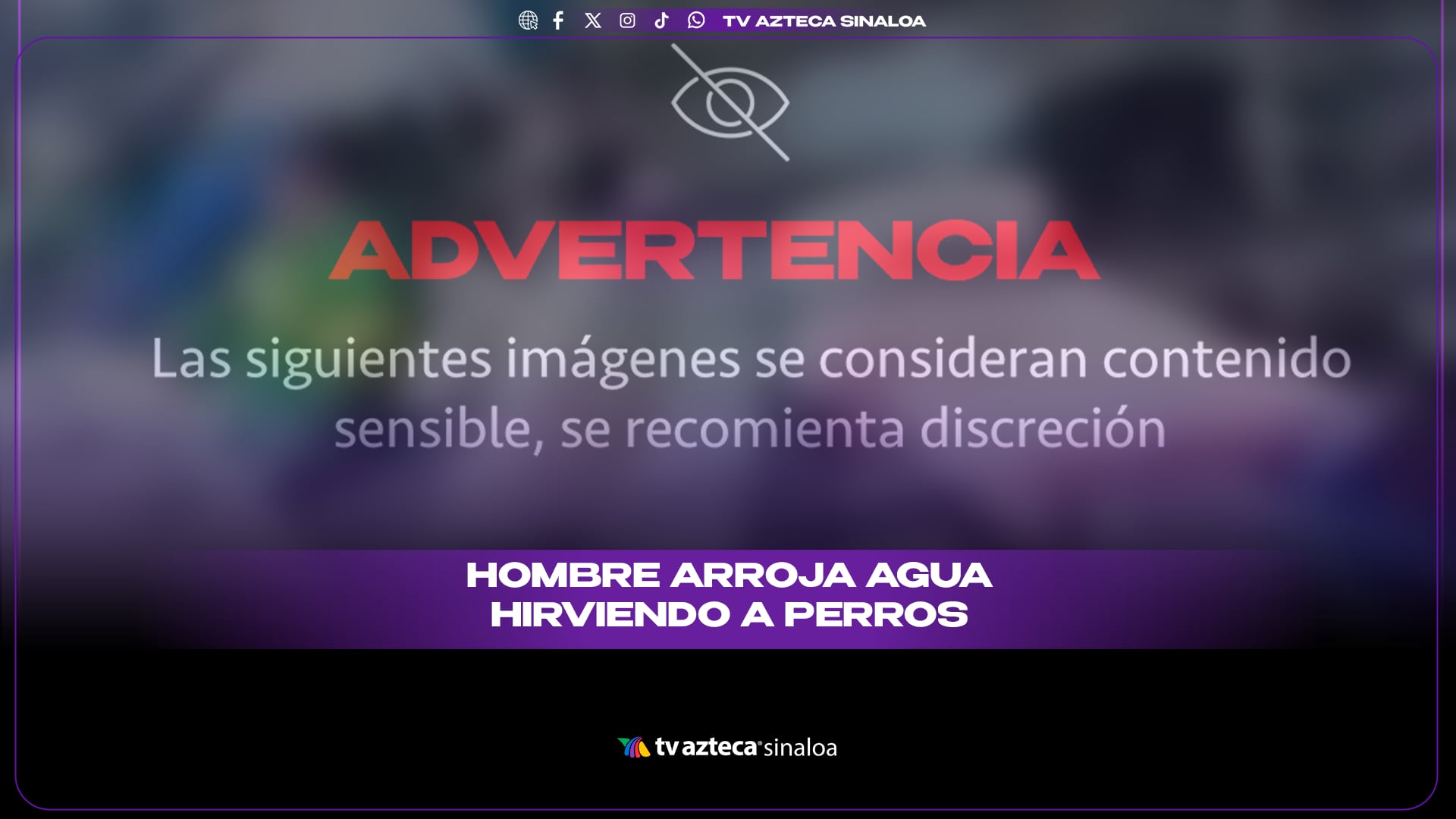 VIDEO| ¡Los quemó! hombre es captado arrojando agua hirviendo a perritos