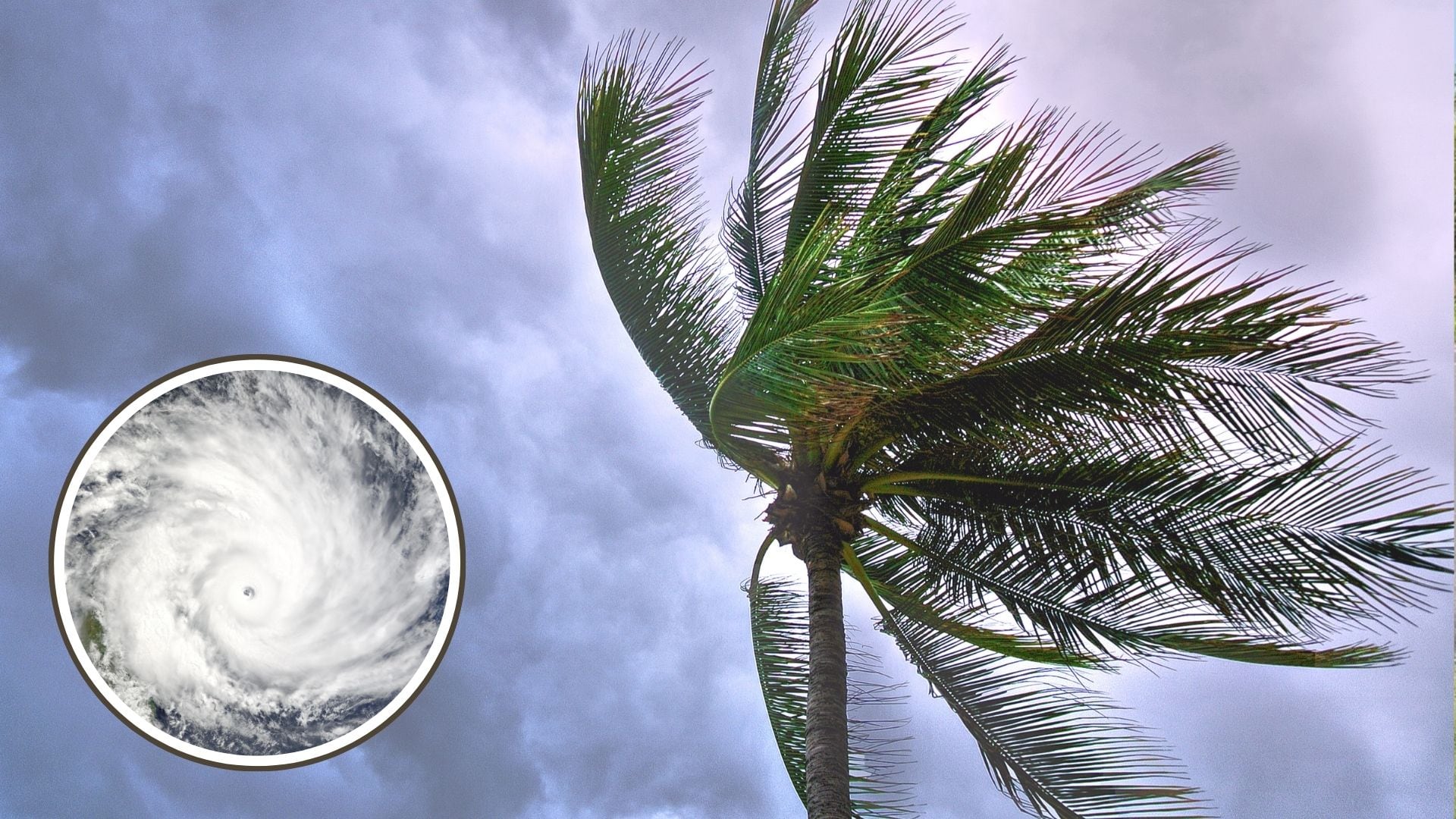 ¿Cuál es la diferencia entre depresión tropical, tormenta tropical y huracán? Aquí te decimos...