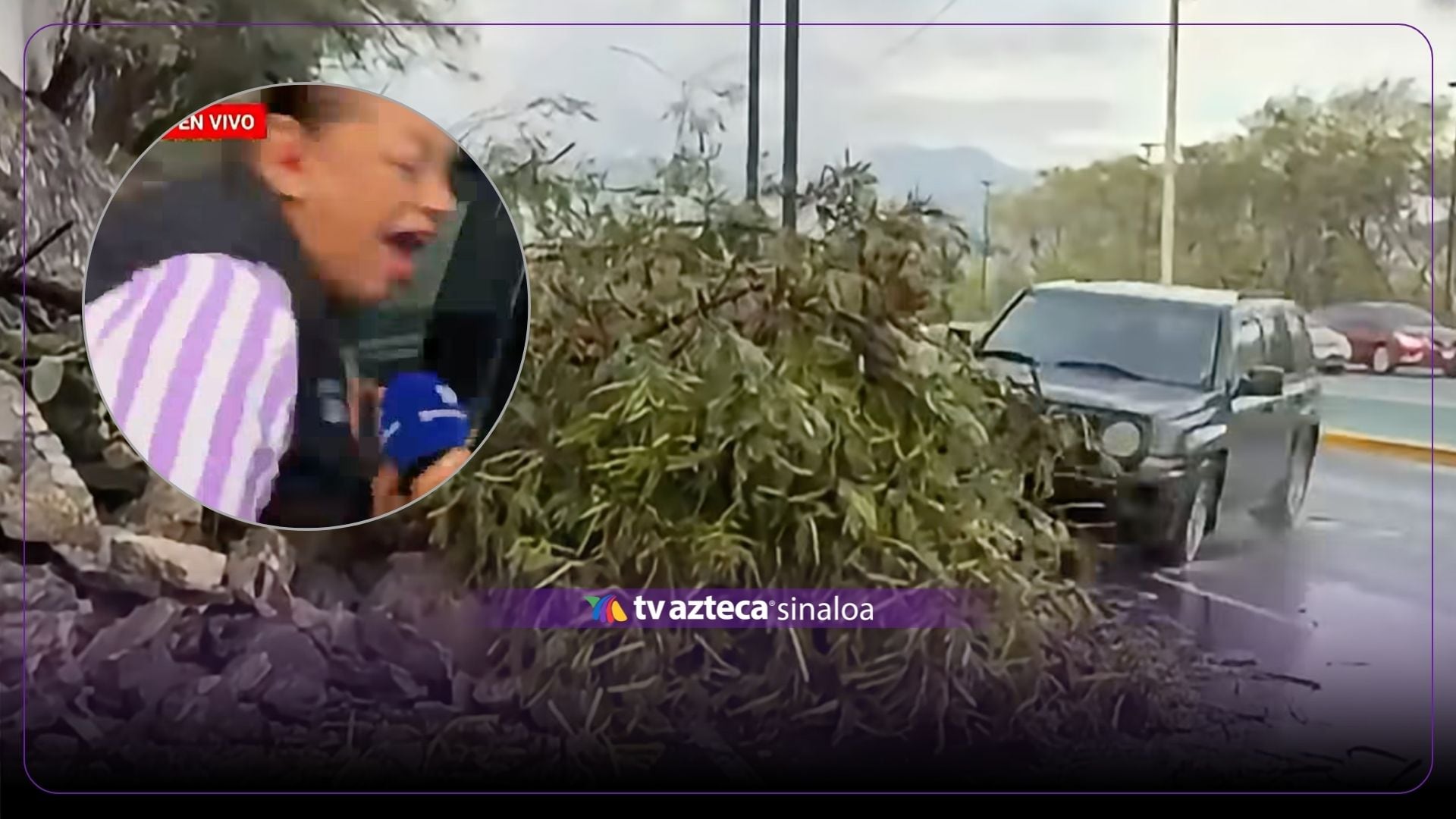 VIDEO | Atropellan a una reportera cuando transmitía EN VIVO sobre un accidente
