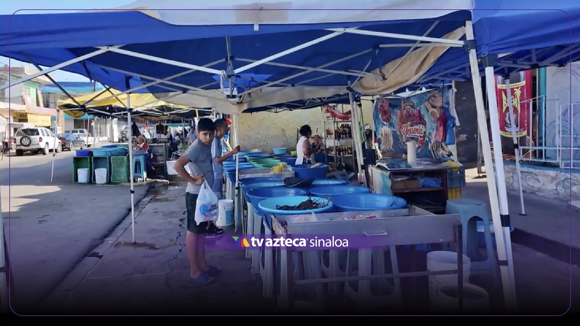 Cae hasta 70% la venta de camarón por falta de turistas en Mazatlán
