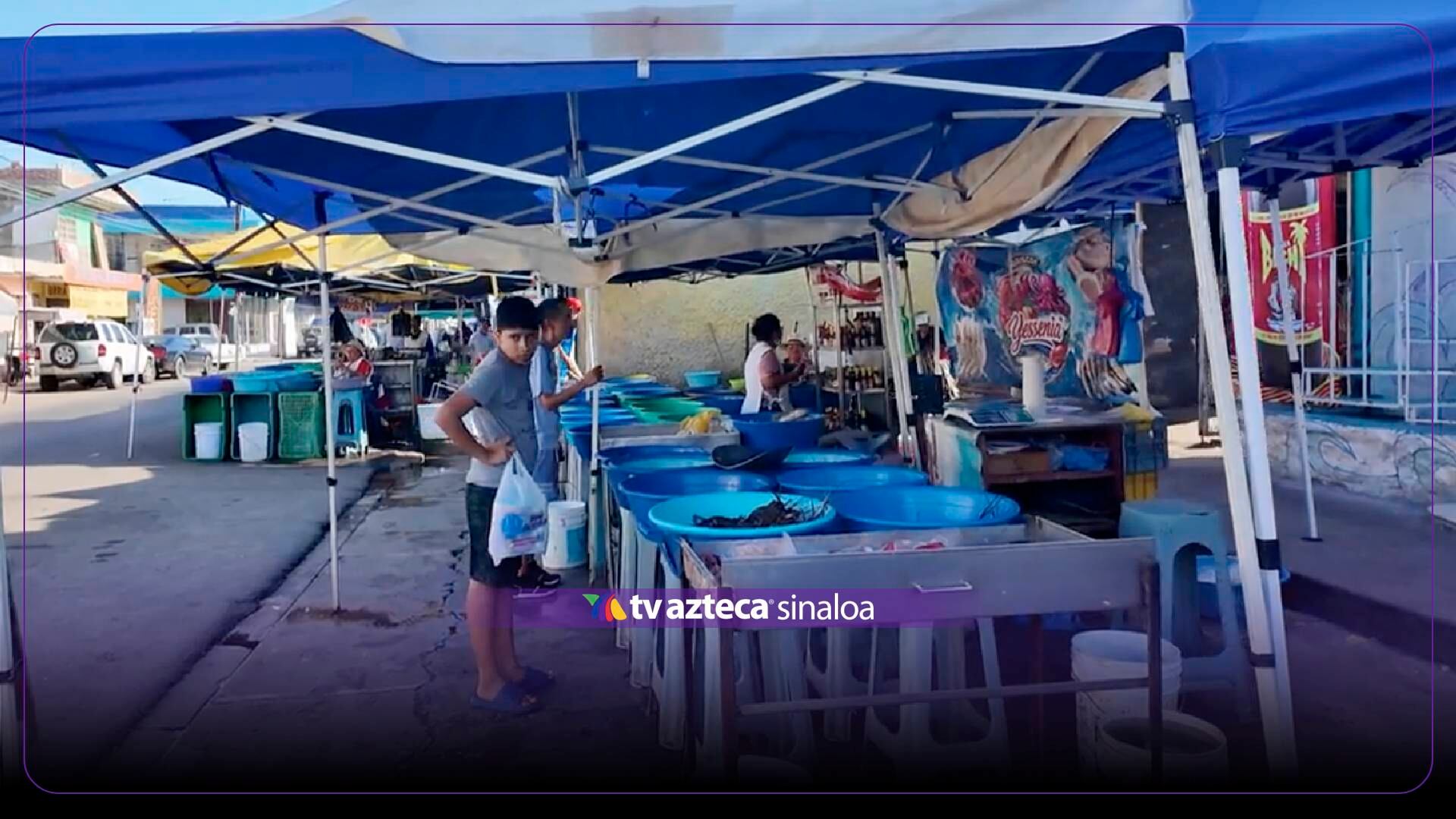 Cae hasta 70% la venta de camarón por falta de turistas en Mazatlán