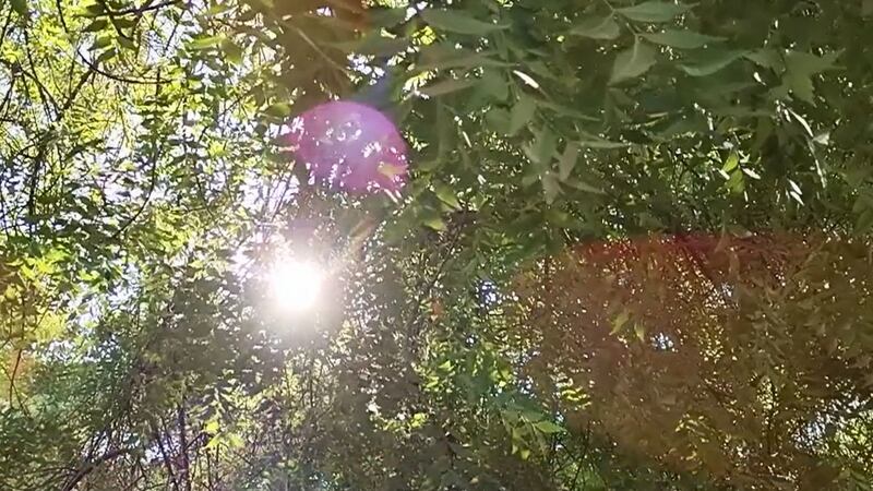 Calor; día soleado
