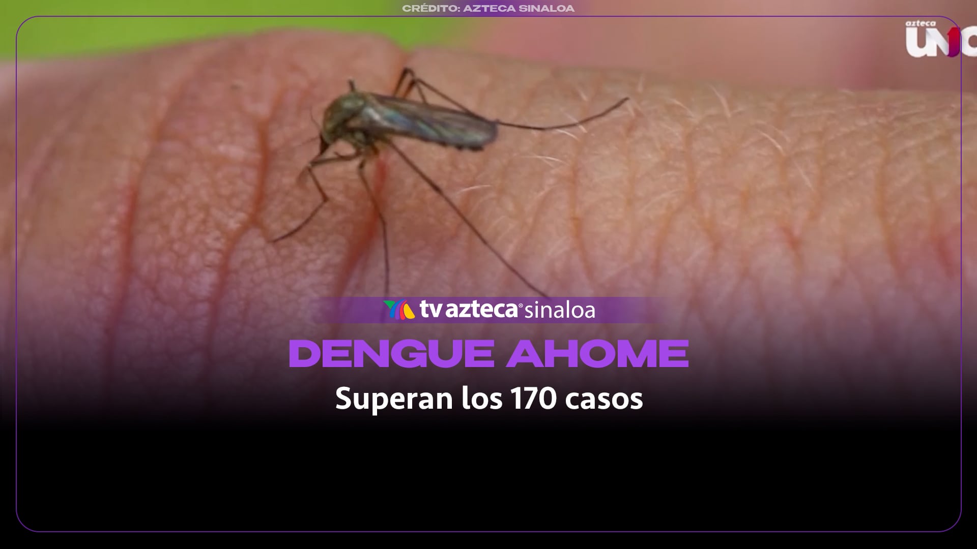 Alarma por dengue en Ahome, suman más de 170 casos en adultos y menores
