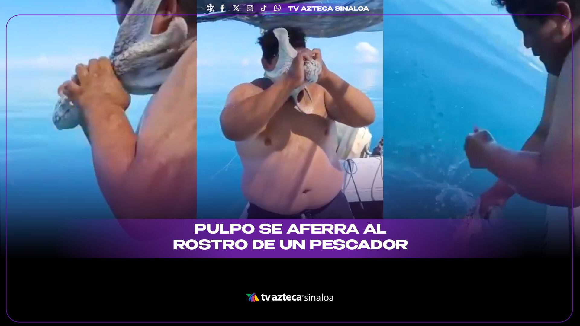 VIDEO| ¡Se estaba ahogando! Pulpo se aferra a la cara de un pescador