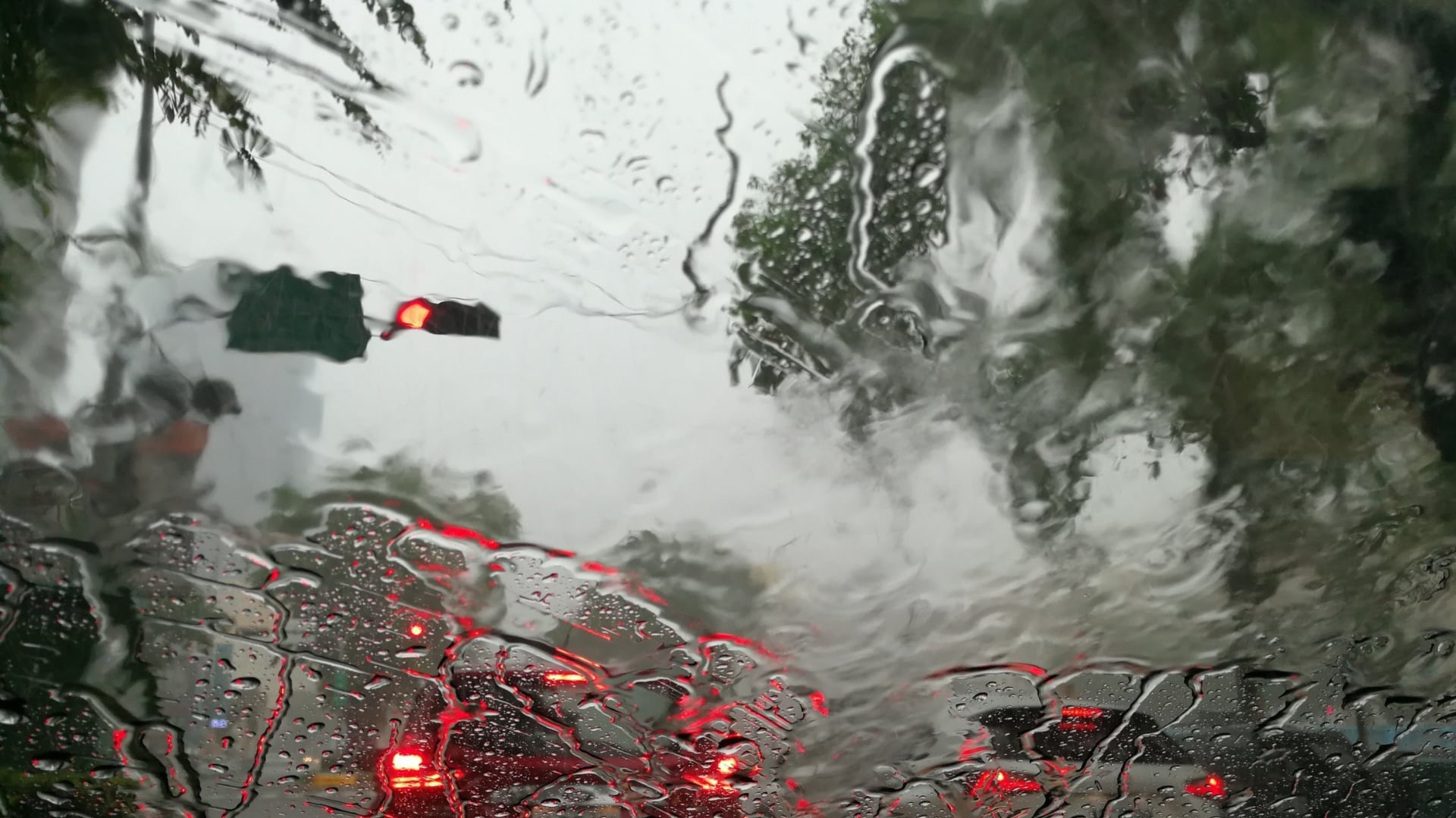 Lluvias en Sinaloa hoy domingo 20 de septiembre; serán de hasta 50 mm. Foto: Pixabay